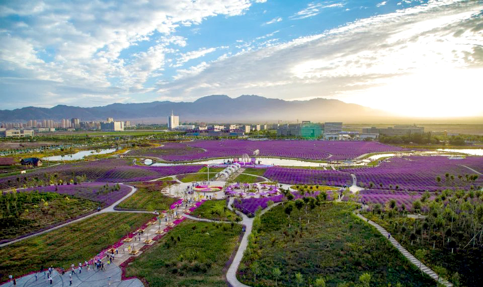 金昌紫金花城水利风景区